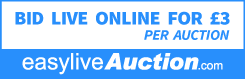Bid live with Michael Bowman on easyliveAuction.com